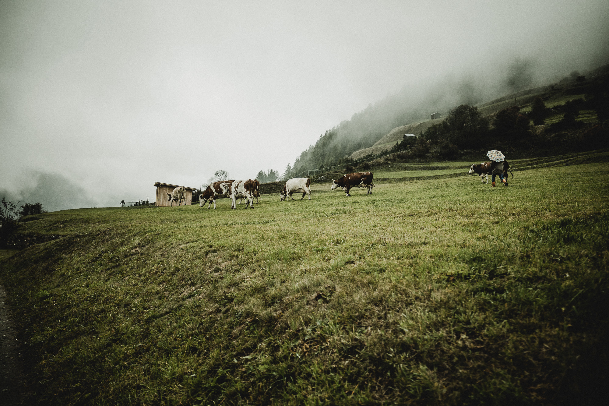 Export x3 5D4 0227 Fotoshooting 2018 Annette & Mike Nauders 2